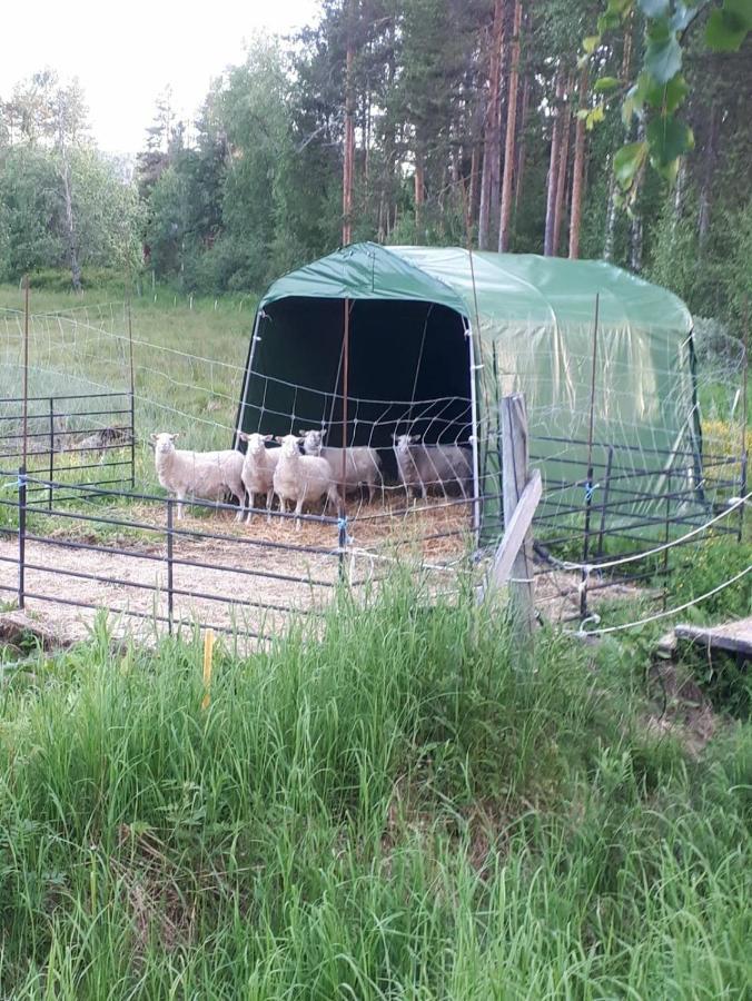 Skabram Bed & Breakfast Йокмокк Экстерьер фото